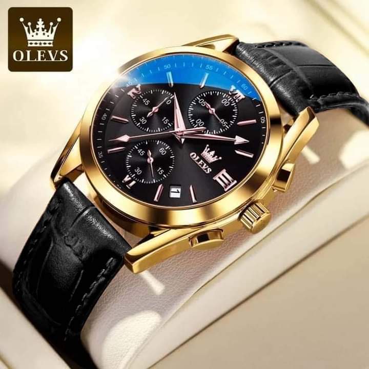 OLEVS 2872 Men’s Classic Watch